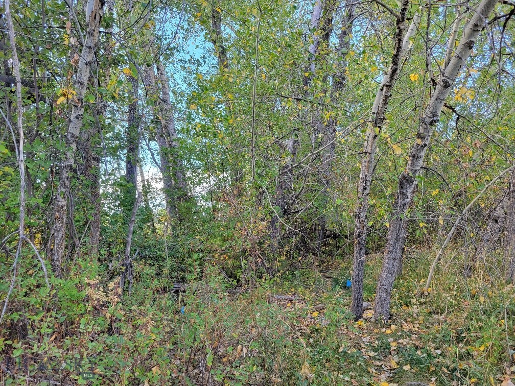 Bozeman MT 59715 - 5