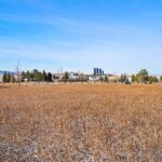 Bozeman MT 59718 - 15