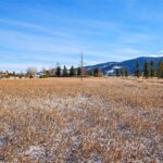 Bozeman MT 59718 - 17