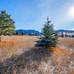 Bozeman MT 59718 - 18