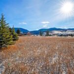 Bozeman MT 59718 - 19