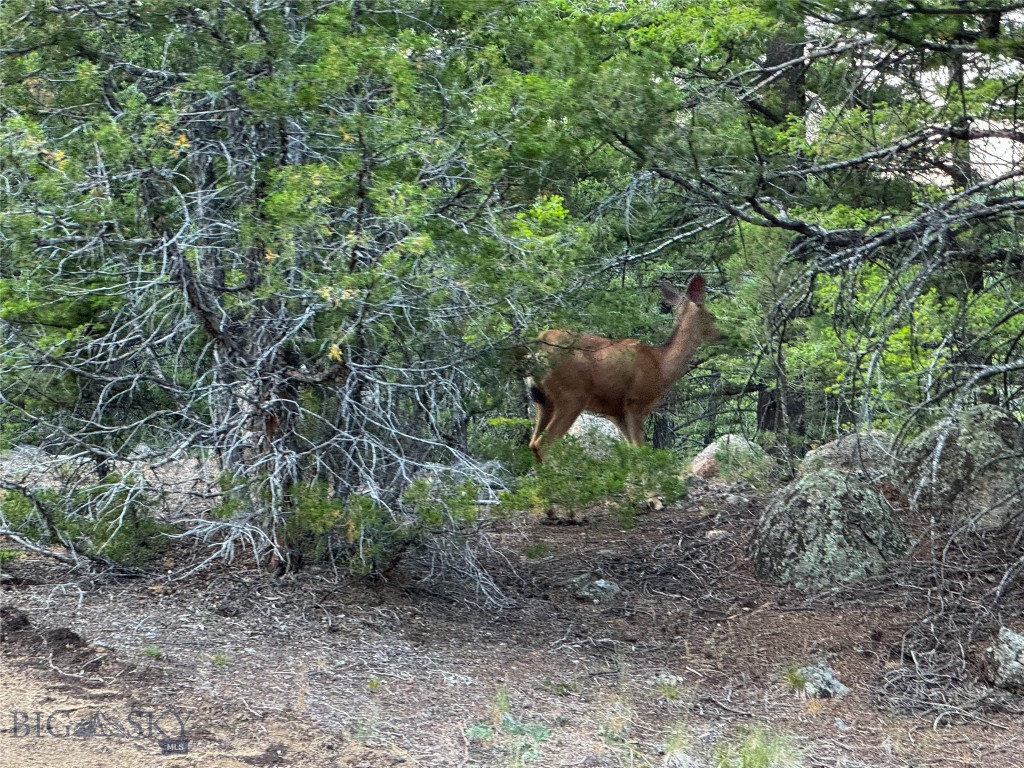 Boulder MT 59632 - 4