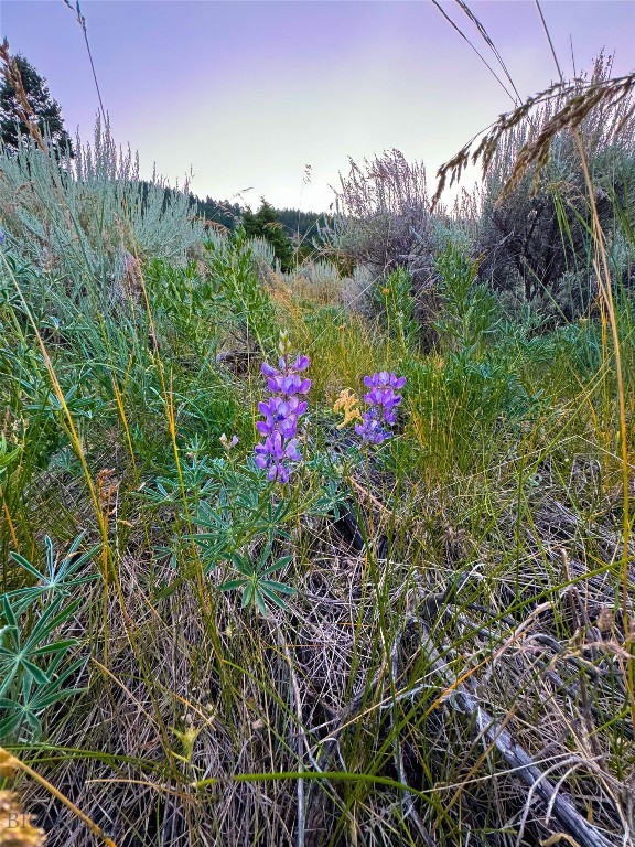 Boulder MT 59632 - 5