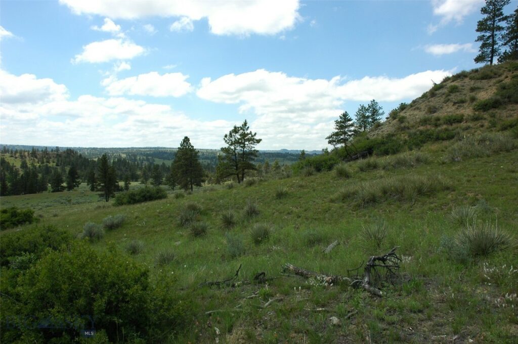 NHN Rock Canyon Lane