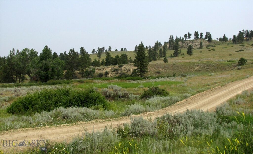 NHN Rock Canyon Lane