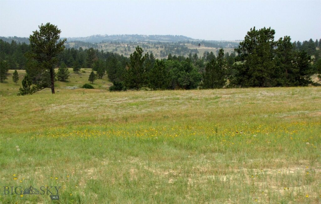 NHN Rock Canyon Lane