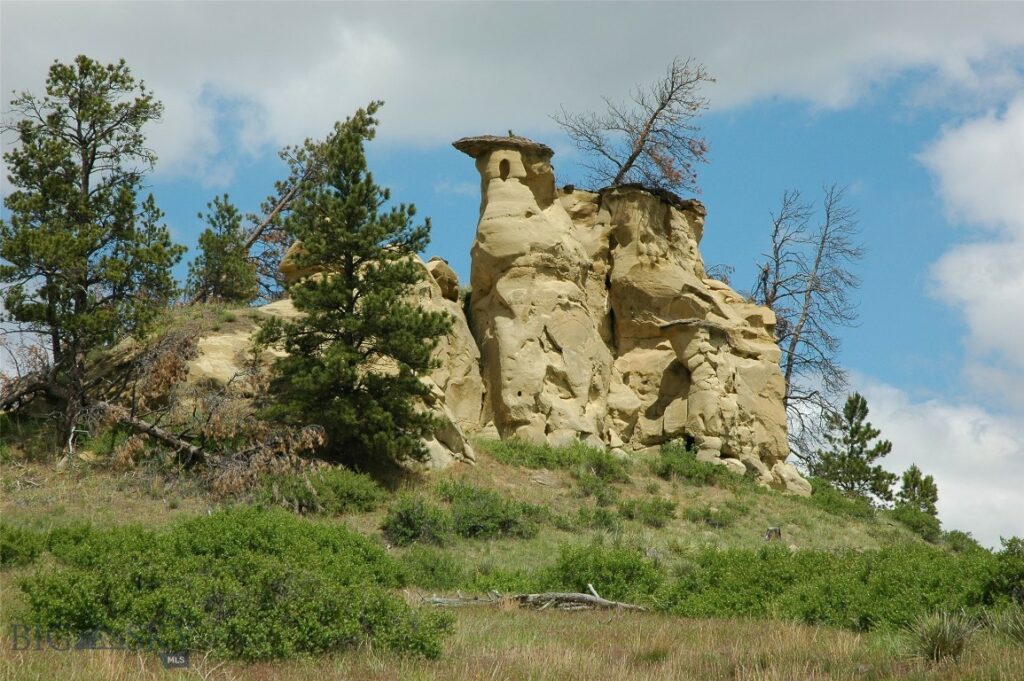 NHN Rock Canyon Lane