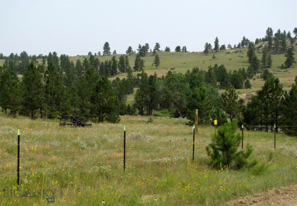 NHN Rock Canyon Lane