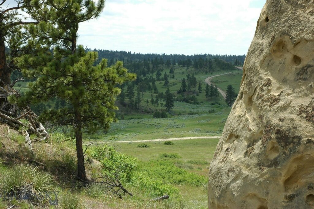 NHN Rock Canyon Lane