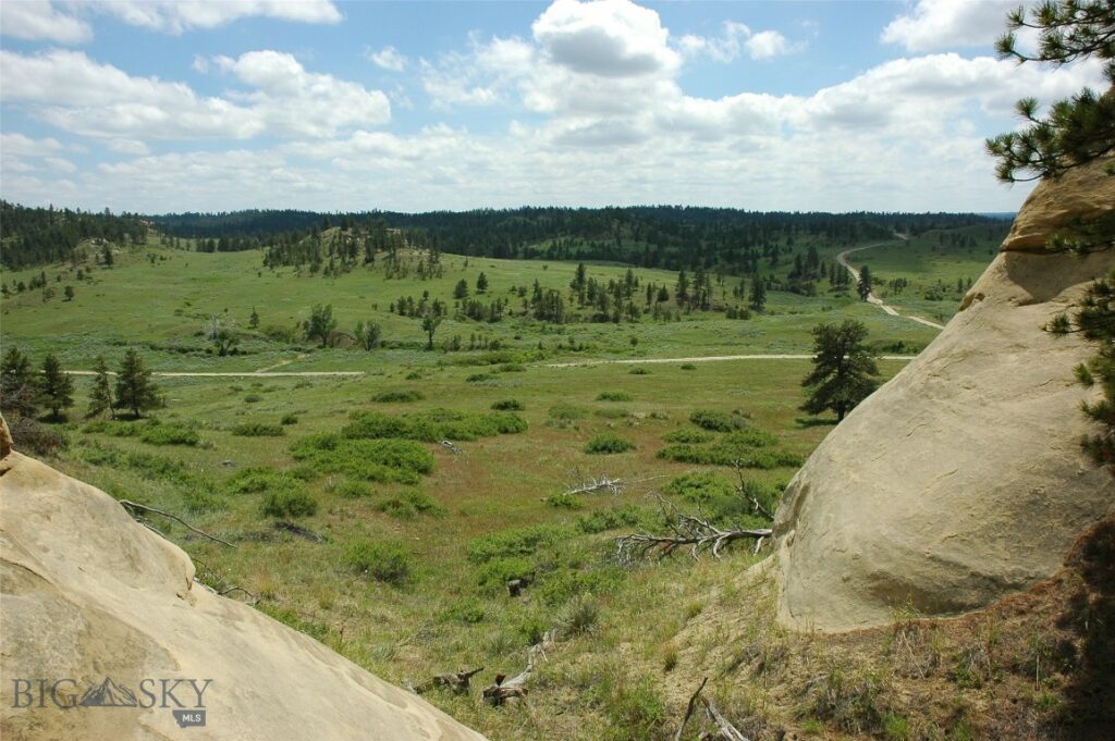 NHN Rock Canyon Lane