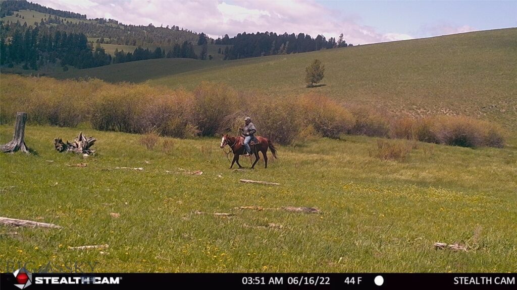 nhn RV Ranch Buckmaster Holding