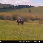 nhn RV Ranch Buckmaster Holding