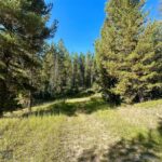 Big Sky MT 59716 - 1