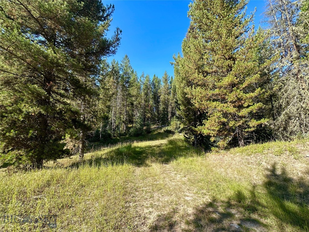 Big Sky MT 59716 - 1