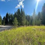 NHN Skywood Road