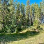 NHN Skywood Road