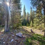 Big Sky MT 59716 - 2