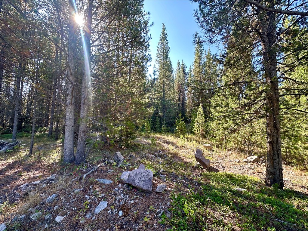Big Sky MT 59716 - 2