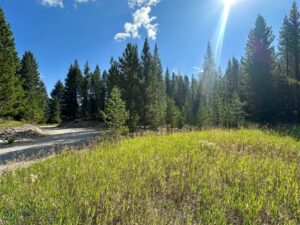 NHN Skywood Road, Big Sky MT 59716
