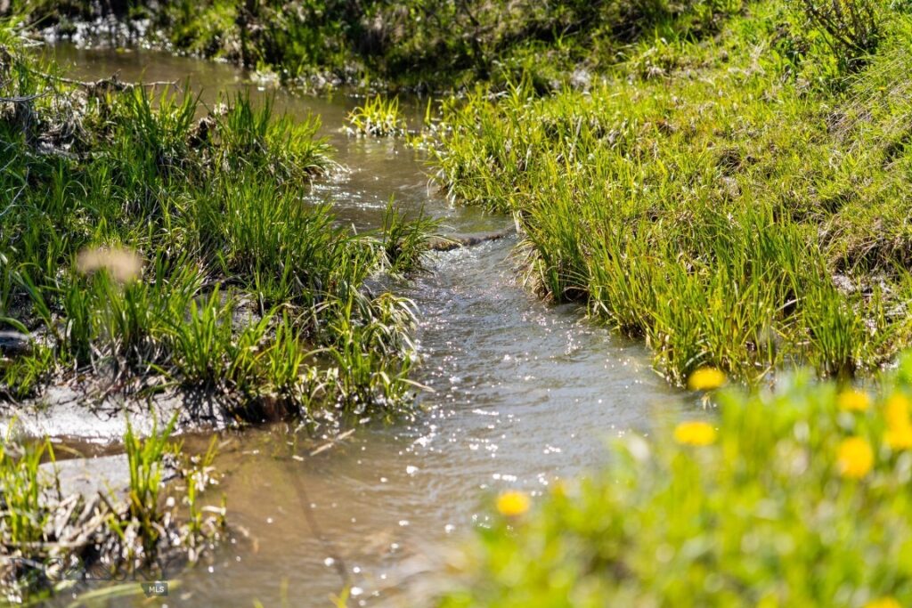 Bozeman MT 59715 - 2