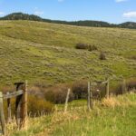 Bozeman MT 59715 - 23