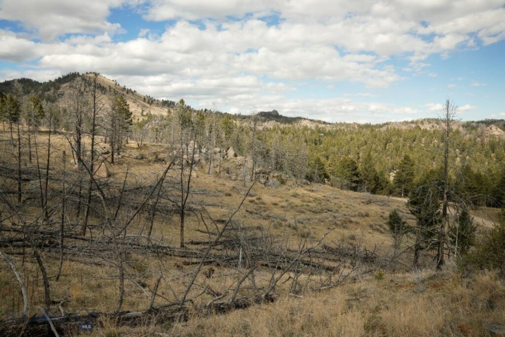 NHN Upper Radar Creek