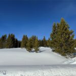 Unknown - 12