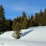 Unknown - 3