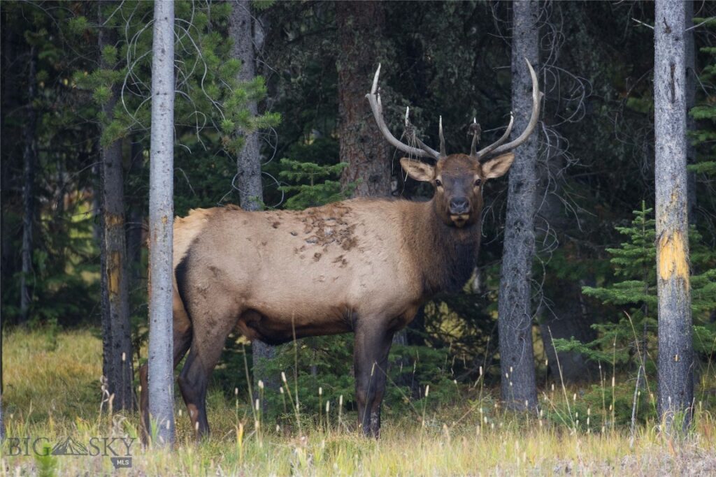 Unknown - 18