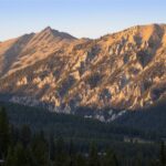 Unknown - 4