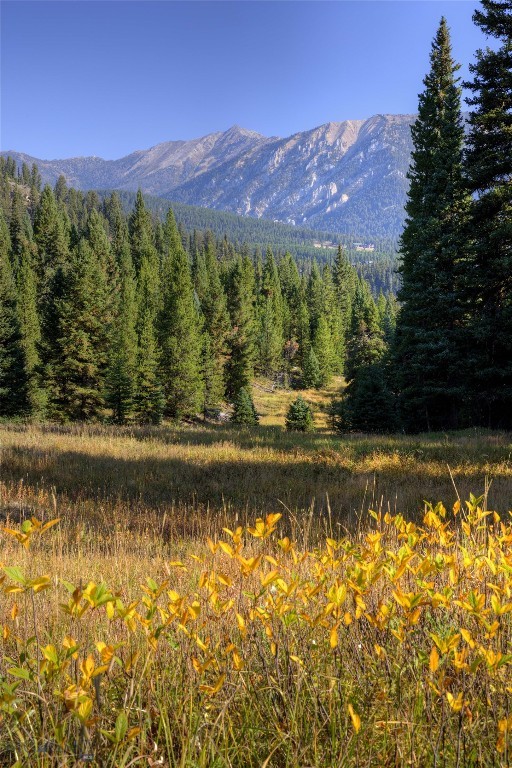 Unknown - 9