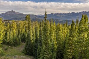 Big EZ Estates Lot 27 Doolittle Drive, Big Sky MT 59716