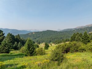 15426 Horse Creek Road, Bozeman MT 59715