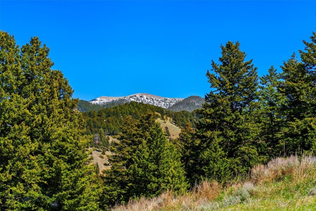 Unknown - 37