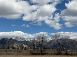 5774 Wavy Leaf Way, Bozeman MT 59718