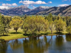 TBD Bridger Lake Drive, Bozeman MT 59718