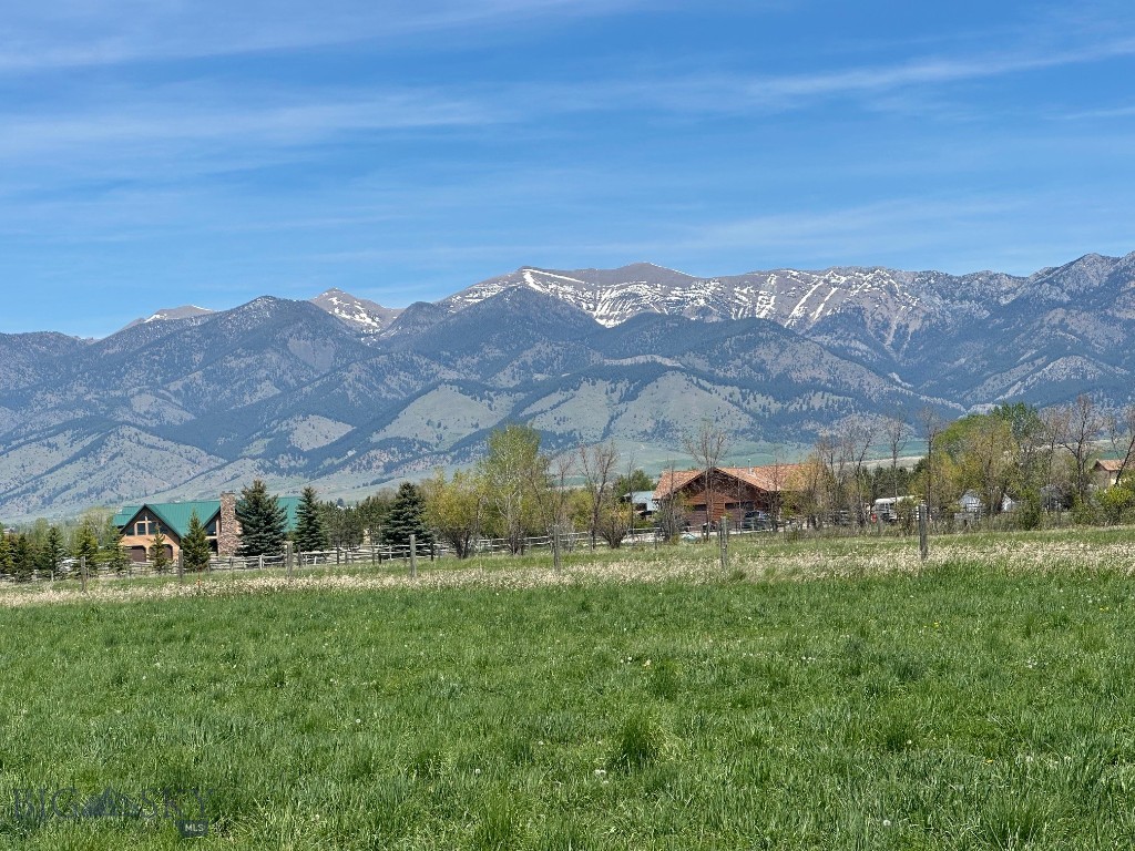 Unknown - 3
