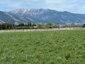 TBD Springhill, Belgrade MT 59714