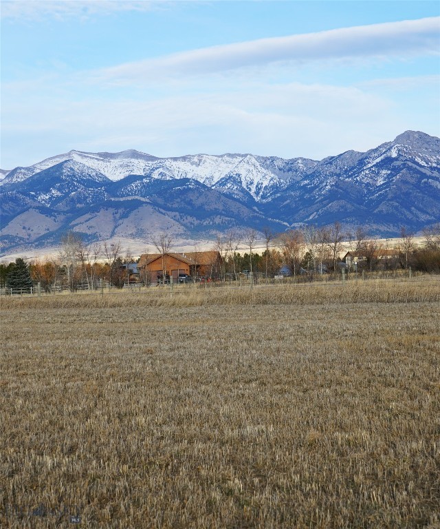 Unknown - 9