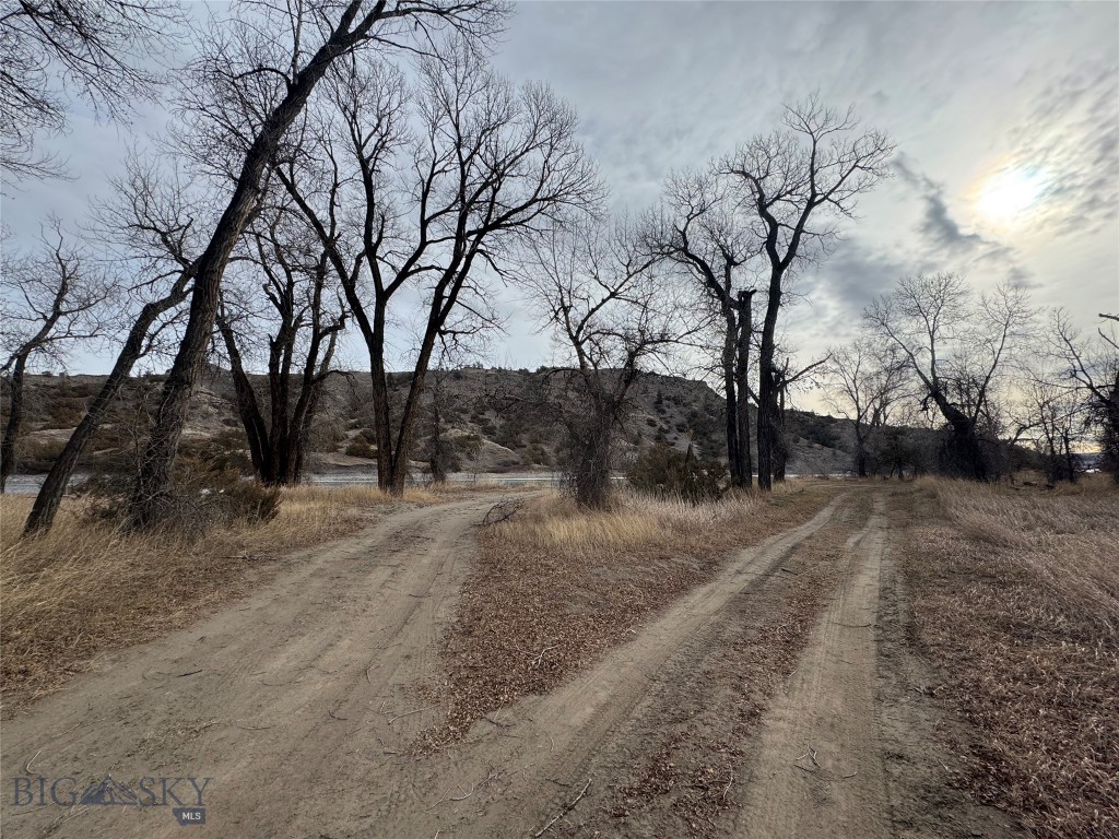 Unknown - 36