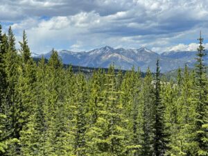 TBD Bear Den Court Road, Big Sky MT 59716