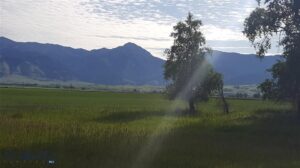 4150 Penwell Bridge Road Road, Belgrade MT 59714