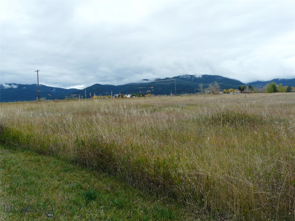 Unknown - 40