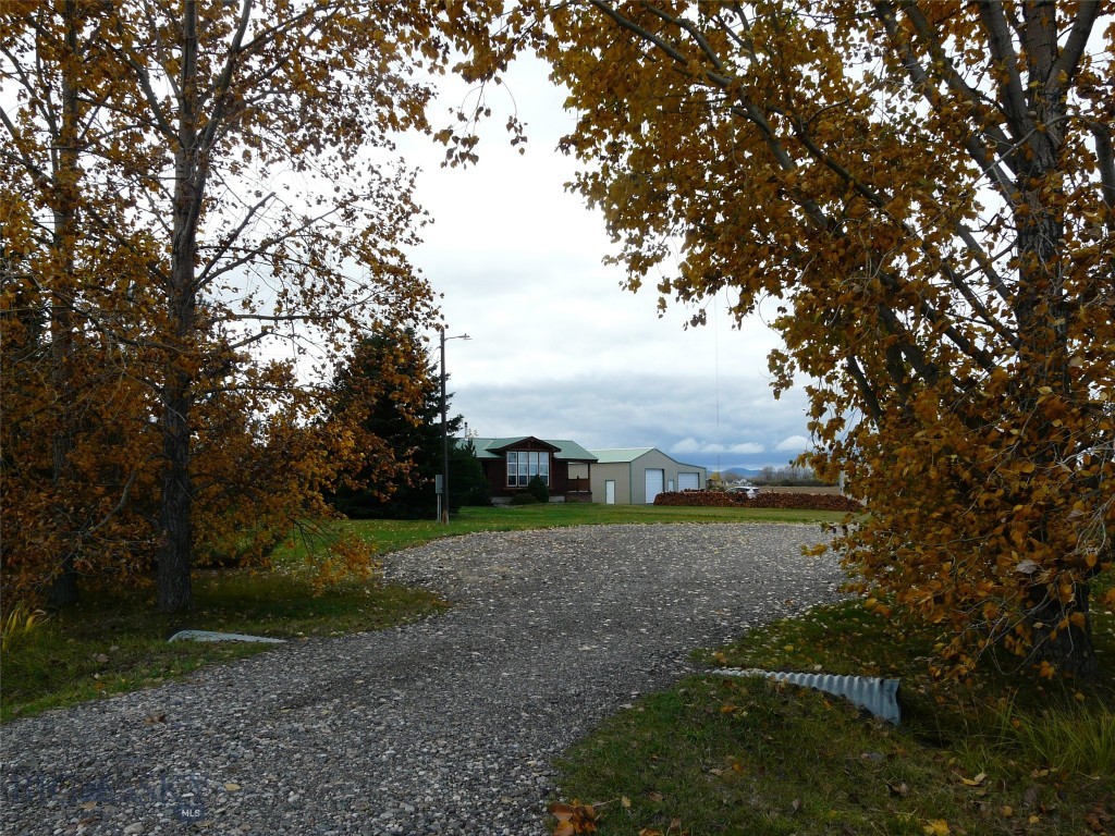 Unknown - 1