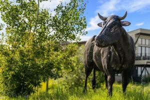 TBD Tillyfour, Bozeman MT 59718