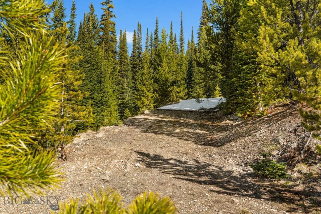 Unknown - 4