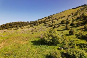 Springhill Vistas Ranch at Four Bar Ranches, Belgrade MT 59714