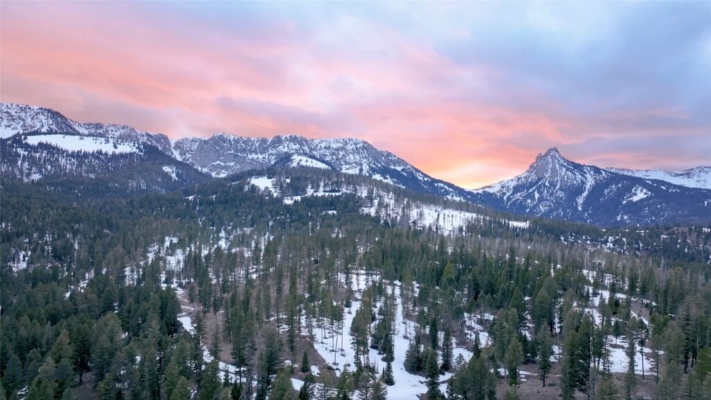 Unknown - 1
