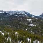 Unknown - 20