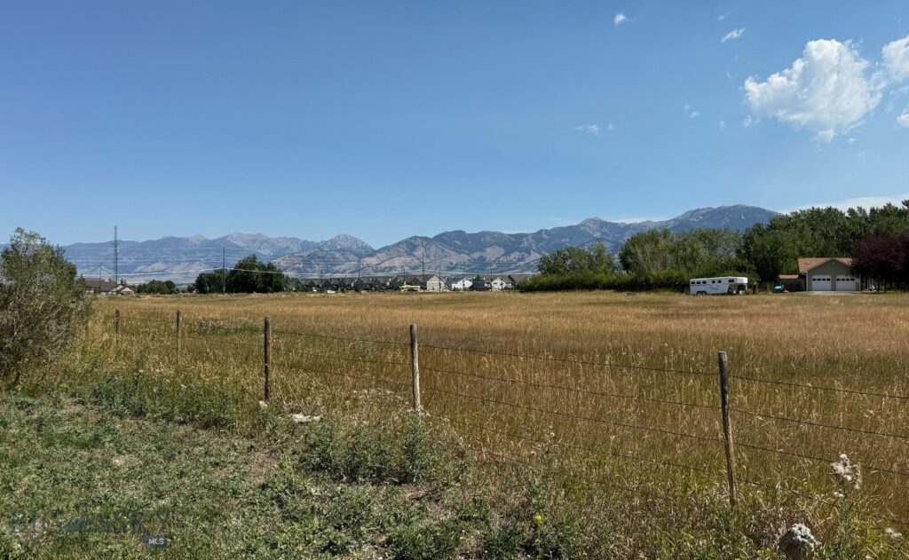 Unknown - 1